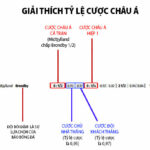 cách tính kèo châu Á chấp hai trái