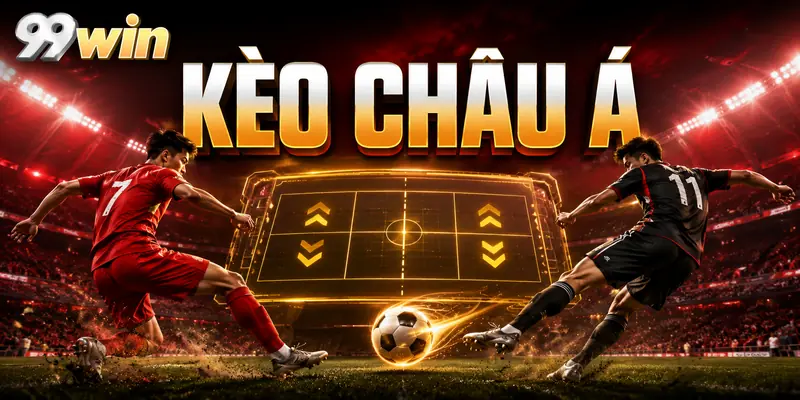 thuật ngữ thua nửa kèo châu Á - Image 5